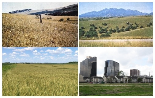 Example photos of landscapes representing Model A fuel complexes.