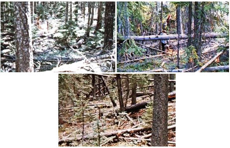 Example photos of landscapes representing Model G fuel complexes.