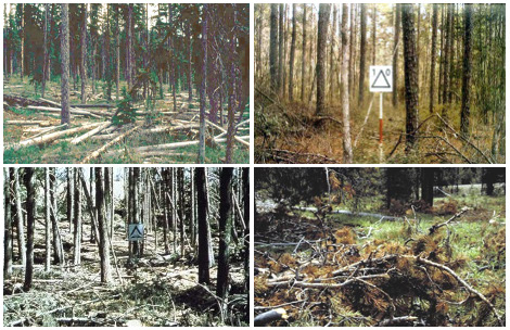 Example photos of landscapes representing Model K fuel complexes.