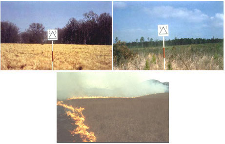 Example photos of landscapes representing Model L fuel complexes.