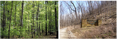 Example photos of landscapes representing Model R fuel complexes.